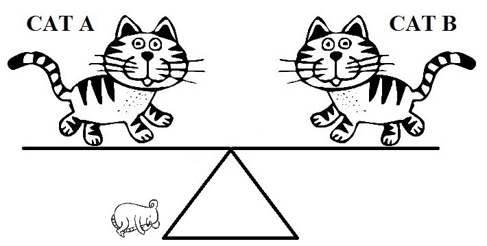 Question 15 diagram