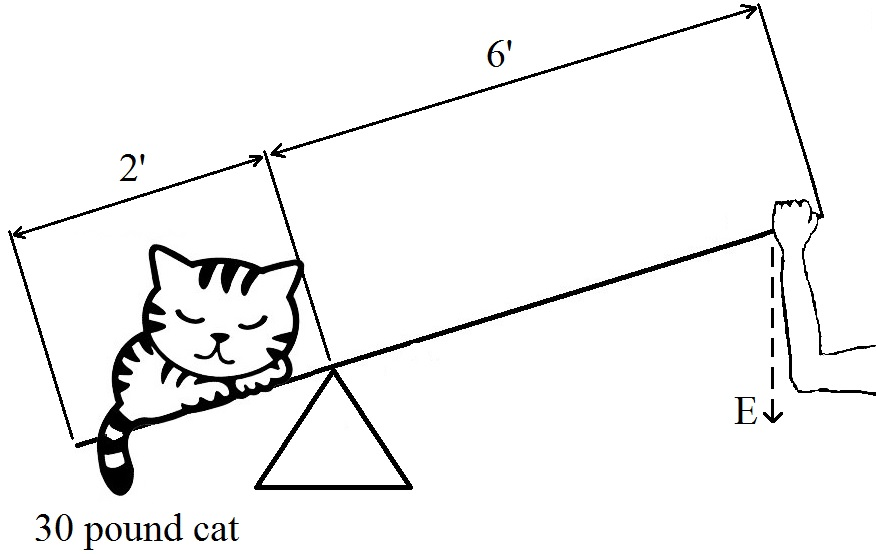 Question 12 diagram