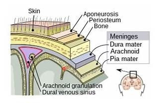 Explanation diagram