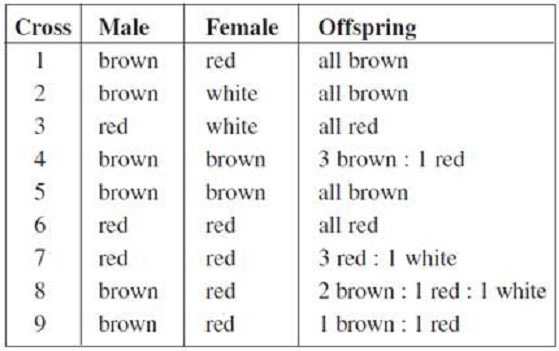Question 11 diagram