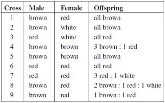 Question 19 diagram