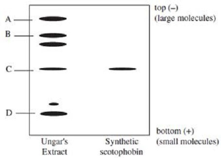 Question 57 diagram