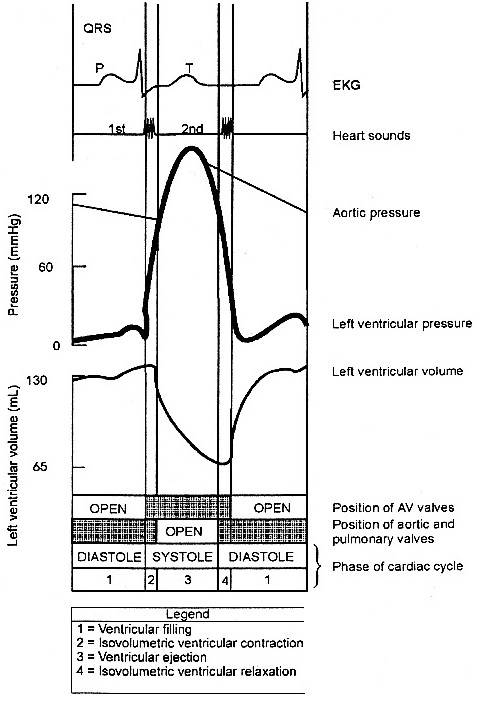Question 34 diagram