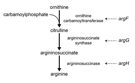 Question 84 diagram