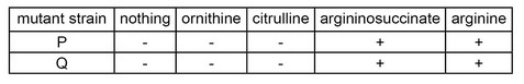 Question 84 diagram