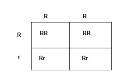 Explanation diagram