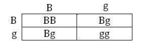 Question 8 diagram