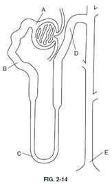 Question 70 diagram