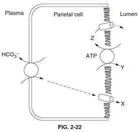 Question 39 diagram