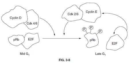 Explanation diagram