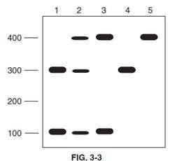 Question 5 diagram