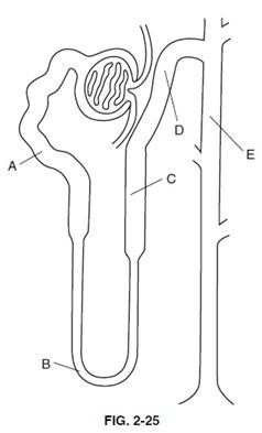 Question 62 diagram